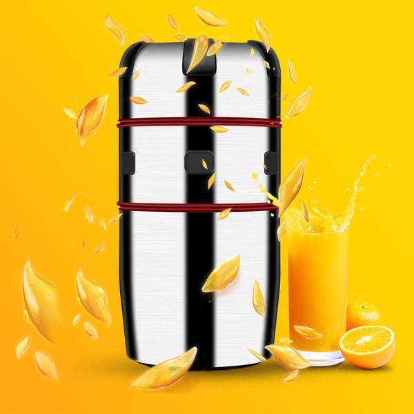 Small Fruit Squeezer Machine Extractor