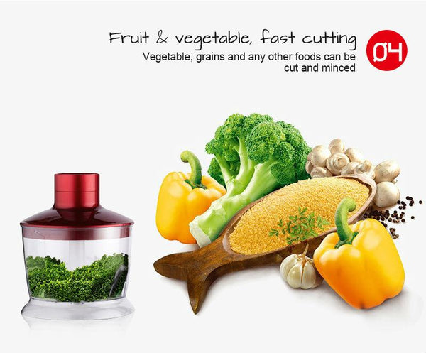 4-in-1 Electric Blender